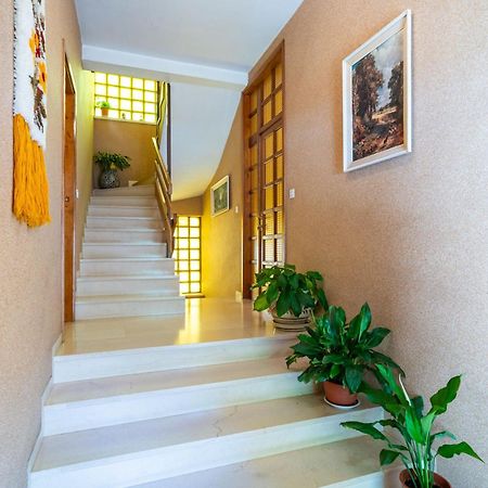 Apartments Villa Ivka Dubrovník Exteriér fotografie